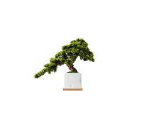 YNIYUJKL Arbres Artificiels Arbre Artificiel Imitation Chinoise Pin Marbré Ornements Simulation Cyprès Pin Accueillant Bonsaï Salon Porche Fausses Plantes Vertes 23,6 P,Green-A