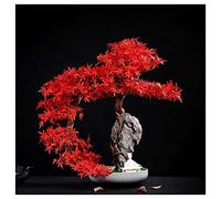YNIYUJKL Arbres Artificiels Falaise Artificielle Cyprès Songke Bonsaï Falaise Mur Tissé Rocaille Podocarpus Feuille D'Érable Bureau Salon Zen Ornements en Pot Pin Artif,D