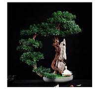 YNIYUJKL Arbres Artificiels Falaise Artificielle Cyprès Songke Bonsaï Falaise Mur Tissé Rocaille Podocarpus Feuille D'Érable Bureau Salon Zen Ornements en Pot Pin Artif,B