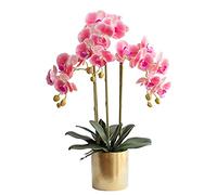 YNIYUJKL Bouquet De Fleurs Artificielles D'Intérieur en Phalaenopsis avec Vase, Idéal pour Décorer Le Salon, Les Fêtes, Les Mariages Et Le Bureau. Décoration en Plastiq,Deep Pink-Round Bottle