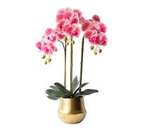 YNIYUJKL Bouquet De Fleurs Artificielles Phalaenopsis avec Vase, en Plastique, Idéal pour Décorer Le Salon, Les Fêtes, Les Mariages Ou Le Bureau.,Deep Pink-Oval Bottle
