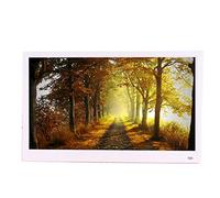 YNIYUJKL Cadres Photo Numériques 12,5 Pouces IPS Version Réseau Système Android Album Photo Électronique Intelligent Lecteur Publicitaire HD Affichage Photo Électroniqu,White