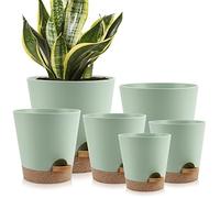 YNNICO Pots de Fleurs 22,3/17,1/16,5/14,9/12,7 cm avec Trous de Drainage et soucoupes, en Plastique, Pot de Plantation pour Plantes d'intérieur et d'extérieur
