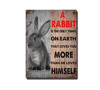 YNRBGDFR Plaque en métal motif lapin - A Rabbit is The Only Thing On Earth That Loves You More Than He Loves Himself - Décoration murale vintage pour cuisine, salle de bain - 30,5 x 40,6 cm