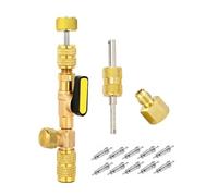 Ynusgeyx Extracteur de Noyau de Valve avec Design à Double Tête - Comprend 10PCS Noyaux 5v1 et Ensemble D'Outils D'Installation pour Ports 1/4" et 5/16".