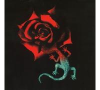 Yo Bailo/Don't Call Me Crazy (US [Import]