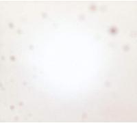 Yo La Tengo - There's a Riot Going on (Ed.Vinile Arancione) [Import]