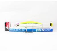 Yo Zuri Duel Hardcore Bullet Rapide 100 mm Naufrage Leurre F1242-HLCL (7420)