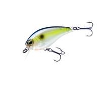 Yo-Zuri Leurre Unisexe 3DB Crank 1.5 Squarebill, Sexy Shad, 6,5 cm