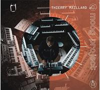 Yoann Schmidt - Moog Project