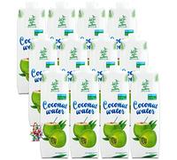 yoaxia ® - Lot de 12 - [ 12 x 1 l ] Eau de noix de coco 1 litre | 100 % naturelle | Eau de noix de coco + un petit bol porte-bonheur - Poupée en bois