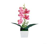 YobiLife Orchidée phalaenopsis artificielle en pot avec 5 fleurs réalistes en plastique nécessitant peu d'entretien pour la maison, le bureau, la décoration de mariage (rose)