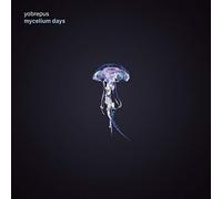 Yobrepus - Mycelium Days