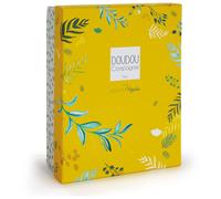 Yoca Le Koala Doudou Attache Sucette