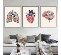 Yocheng 3 affiches et impressions d'anatomie humaine florale : cœur,cerveau,poumons,éducation médicale,peinture sur toile,images murales,décoration de dortoir pour la maison 30x40cmx3 sans cadre