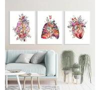 Yocheng Affiche d'art d'anatomie,3 pièces,imprimés de fleurs,d'organes,de cerveau,de cœur et de poumons,pour éducation des étudiants,image d'hôpital,décoration murale moderne 50x70cmx3 sans cadre