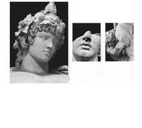 Yocheng Affiche de sculpture corporelle de la mythologie grecque,impressions sur toile,peinture murale,images d'art,décoration de salon 40x60cmx3 sans cadre