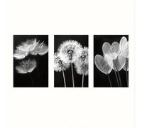 Yocheng Ensemble de 3 toiles décoratives représentant des pissenlits en noir et blanc,idéal pour le salon,la chambre ou le bureau. 21x30cmx3 sans cadre