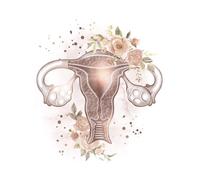 Yocheng Gynécologie Anatomie féminine Fertilité Grossesse Affiches Impressions Toile Peinture Art Mural Image Obstétrique Décor Gynécologue 50x70cm sans cadre