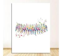 Yocheng Toile de peinture d'anatomie, tableau de dentiste, Art mural médical, aquarelle, décor mural de clinique, équipement dentaire, affiche de dents 30x40cm sans cadre