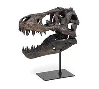 Yofab Décoration de Bureau Modèle de crâne Dinosaure avec Support, Accessoire d'enseignement Artisanal d'archéologie fossile Centre de Table