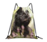 YOFIEN Affenpinscher Rasen Schwarze Hunde Affe Terrier Wasserfester Rucksack mit Kordelzug für Damen und Herren, Sport- und Fitnessstudio-Sackpack