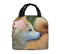 YOFIEN Akita Inu Bokeh Animaux de compagnie Chiens Akita Inu Boîte à lunch isotherme épaisse Sac à lunch réutilisable et étanche