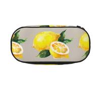 YOFIEN Aquarelle Fruits d'été Citrons Feuilles Slich, Petite Trousse à Crayons Grande capacité Pochette à Crayons Organisateur de Papeterie de Bureau