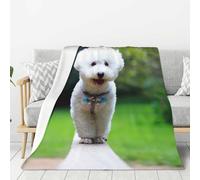 YOFIEN Bichon Frise Bokeh Animaux Chiens Parc Chiens Blancs Jeté Super Doux Flanelle Couverture Épaisse Confortable Canapé Douillet 80"x60"