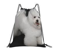 YOFIEN Bichon Frisé, weiße Hunde, Haustiere, Hunde, Bichon Frisé, wasserabweisender Rucksack mit Kordelzug, für Damen und Herren, Sport- und Fitnessstudio-Sackpack