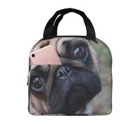 YOFIEN Boîte à lunch isotherme épaisse avec un carlin rigolo qui vous regarde, réutilisable et étanche.