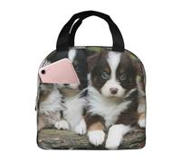 YOFIEN Boîte à lunch isotherme épaisse et réutilisable, motif quatuor de chiots Berger Australien. Résistante aux fuites. Motif Berger Australien.