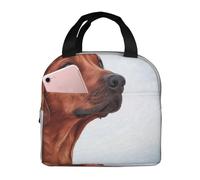 YOFIEN Boîte à lunch isotherme épaisse pour chien Rhodesian Ridgeback, réutilisable et étanche.