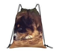 YOFIEN Border Collie Welpe Bokeh Braun Border Collie Wasserfester Rucksack mit Kordelzug für Damen und Herren, Sport- und Fitnessstudio-Sackpack