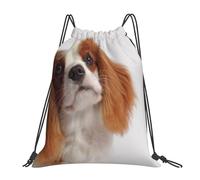 YOFIEN Cavalier King Charles Spaniel (2) Wasserabweisender Rucksack mit Kordelzug für Damen und Herren, Sport- und Fitnessstudio-Sackpack