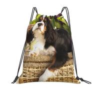 YOFIEN Cavalier King Charles Spaniel (4) Wasserabweisender Rucksack mit Kordelzug für Damen und Herren, Sport- und Fitnessstudio-Sackpack