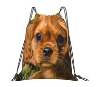 YOFIEN Cavalier King Charles Spaniel, braune, lockige Hunde, wasserabweisender Rucksack mit Kordelzug, für Damen und Herren, Sport- und Fitnessstudio-Sackpack