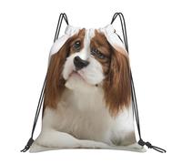 YOFIEN Cavalier King Charles Spaniel, brauner Spaniel, wasserabweisender Rucksack mit Kordelzug, für Damen und Herren, Sport- und Fitnessstudio-Sackpack