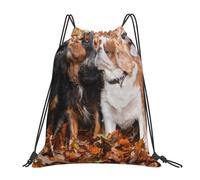 YOFIEN Cavalier King Charles Spaniel Herbstwelpen Wasserabweisender Rucksack mit Kordelzug für Damen und Herren, Sport- und Fitnessstudio-Sackpack