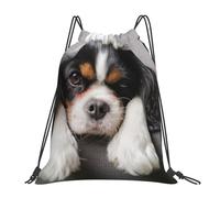 YOFIEN Cavalier King Charles Spaniel Hund Wasserfester Rucksack mit Kordelzug für Damen und Herren, Sport- und Fitnessstudio-Sackpack