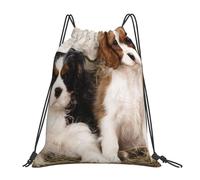 YOFIEN Cavalier King Charles Spaniel Kleine Welpen Wasserfester Rucksack mit Kordelzug für Damen und Herren, Sport- und Fitnessstudio-Sackpack