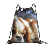 YOFIEN Cavalier King Charles Spaniel, kleiner Spaniel, wasserabweisender Rucksack mit Kordelzug, für Damen und Herren, Sport- und Fitnessstudio-Sackpack