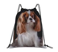 YOFIEN Cavalier King Charles Spaniel Mutter mit Jungen, wasserabweisender Rucksack mit Kordelzug, für Damen und Herren, Sport- und Fitnessstudio-Sackpack