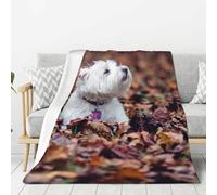 YOFIEN Couverture en Flanelle Super Douce et Confortable avec Motif Westie Bokeh West Highland White Terrier 80"x60"