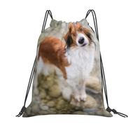 YOFIEN Hunde im Wasser, Fluss, braun, weiß, Hunde, Paniel, wasserfester Kordelzug-Rucksack für Damen und Herren, Sport- und Fitnessstudio-Sackpack