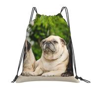 YOFIEN Mops-Freundschaft, Bokeh, Hunde, Haustiere, Freunde, Mops, wasserabweisender Kordelzug-Rucksack für Damen und Herren, Sport- und Fitnessstudio-Sackpack