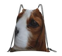 YOFIEN Niedlicher Cavalier King Charles Spaniel, wasserabweisender Rucksack mit Kordelzug, für Damen und Herren, Sport- und Fitnessstudio-Sackpack