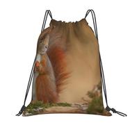 YOFIEN Niedlicher roter Eichhörnchen-Sciurus-Rucksack mit Kordelzug, wasserabweisend, für Damen und Herren, Sport- und Fitnessstudio-Sackpack