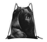 YOFIEN Niedlicher schwarzer Labrador-Hund, wasserfester Rucksack mit Kordelzug, für Damen und Herren, Sport, Fitnessstudio