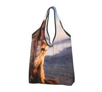YOFIEN Sac fourre-tout pliable et réutilisable grande capacité pour chiens Cavalier King Charles Spaniel Coast Pets